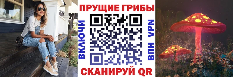 omg зеркало  Арсеньев  это официальный сайт  Псилоцибиновые грибы ЛСД 